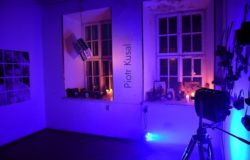 Kamienica Oleśnickich wokół kobiet