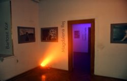 Kamienica Oleśnickich wokół kobiet