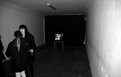 Kamienica Oleśnickich wokół kobiet