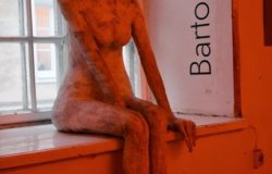 Kamienica Oleśnickich wokół kobiet