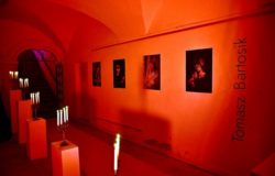 Kamienica Oleśnickich wokół kobiet