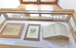 Sala Ekspozycyjna Ratusza