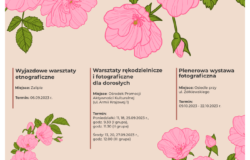 Warsztaty z sandomierską różą